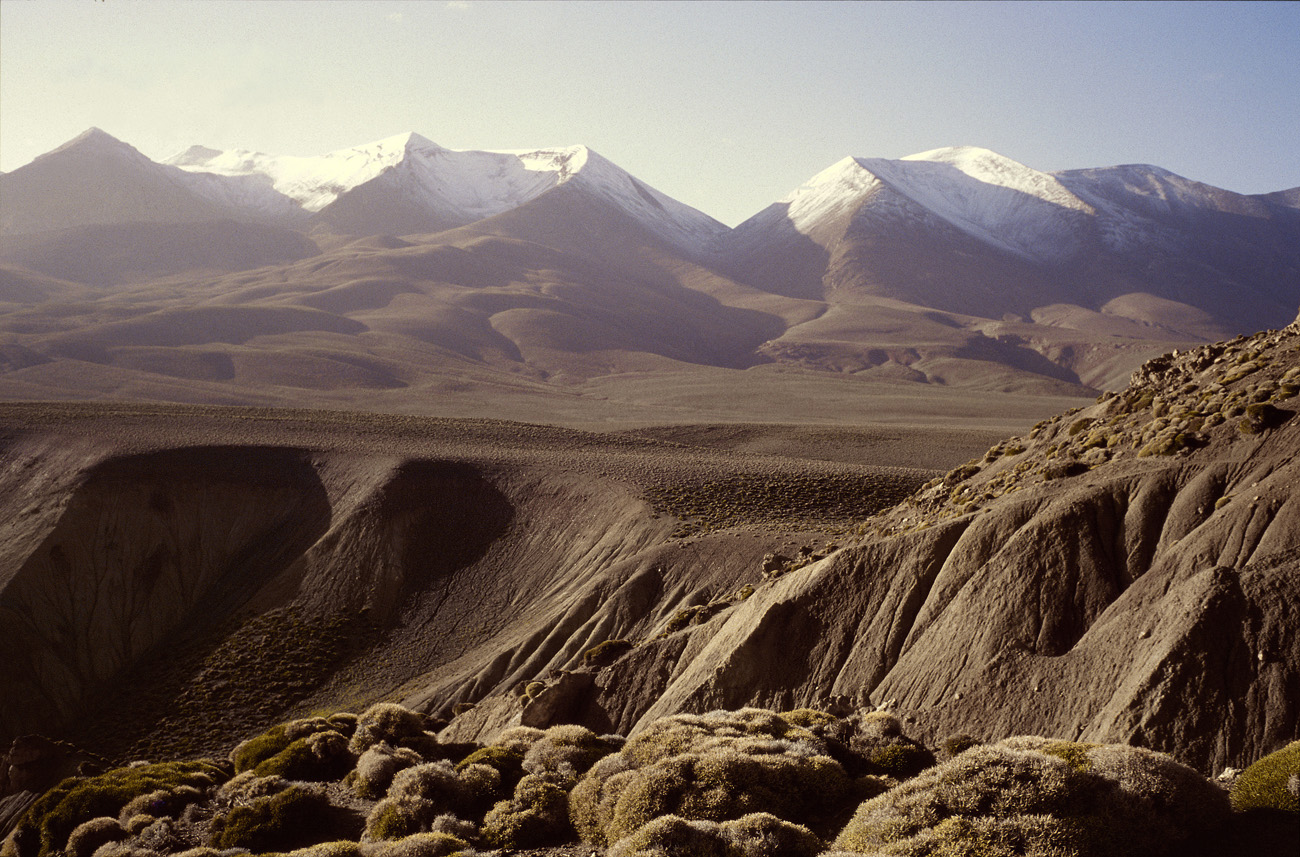 mar97_108 chaine du mgoun.jpg - Haut Atlas Central, sept-97 Tarkeddid le plateau de la Tarkeddid, lieu de transhumance d'été pour les bergers du Djebel Sarhro, et les sommets fraîchement enneigés du Mgoun (4000 m) Fuji Velvla 50